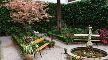 CAFÉ DEL JARDÍN DEL MUSEO DEL ROMANTICISMO