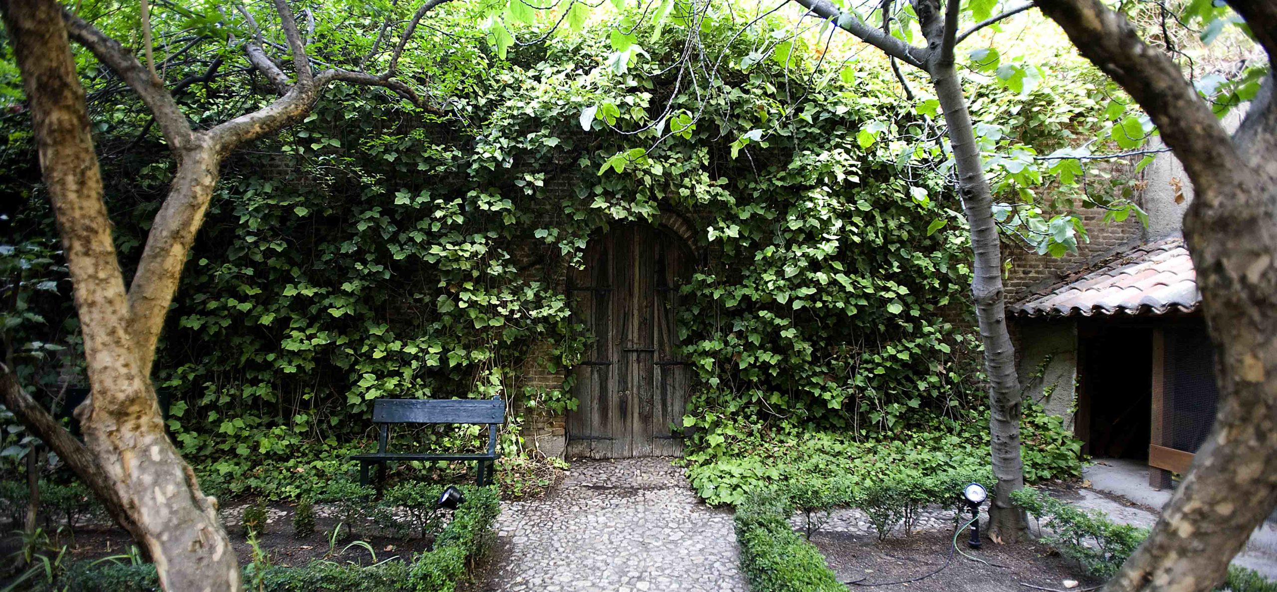 Lope de Vega House Museum Madrid Guide Tours